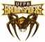 UFPR Brown Spiders